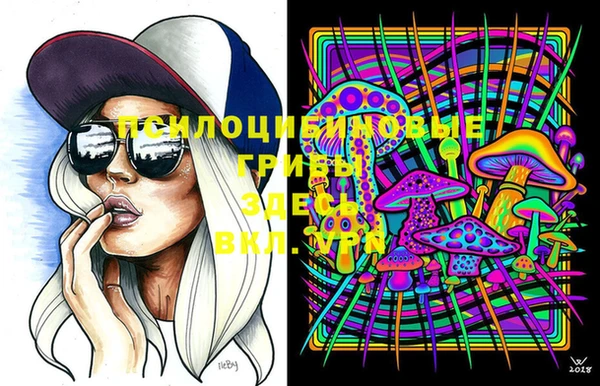 2c-b Козловка
