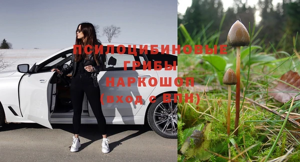 2c-b Козловка