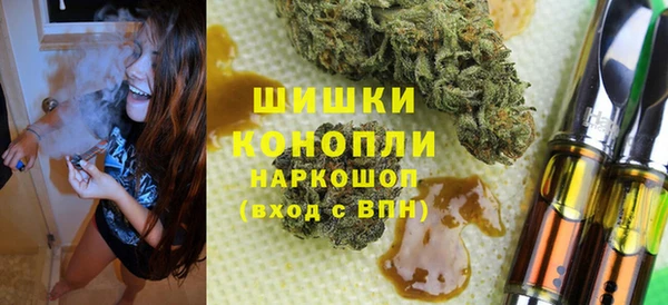 дживик Козельск