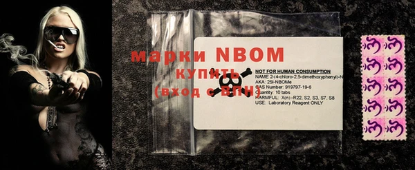 дживик Козельск