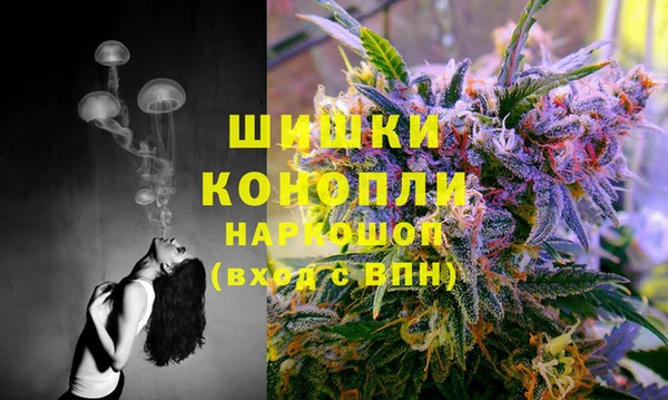 дживик Козельск