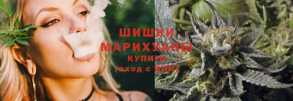 дживик Козельск