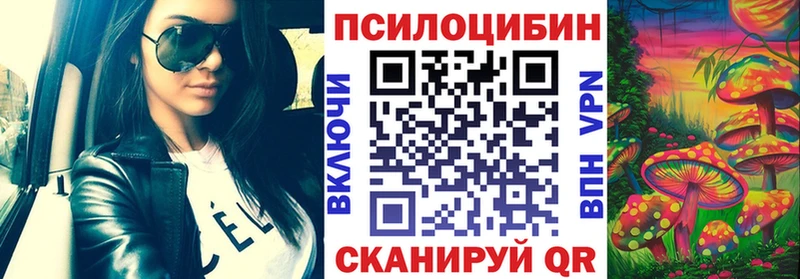 ссылка на мегу tor  Новотитаровская  Галлюциногенные грибы MAGIC MUSHROOMS 