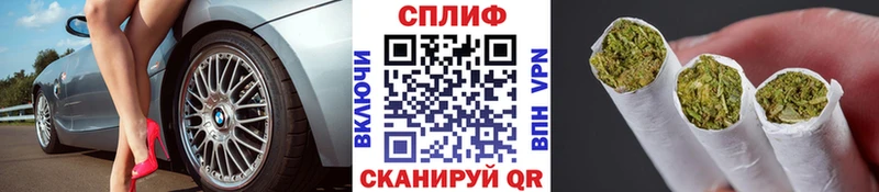 МЕГА онион  Новотитаровская  Бошки марихуана гибрид 